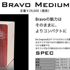 廃盤貴重!!【 カホン／Cajon 】DE GREGORIO　BRAVO MEDIUM レッドマカサーの画像