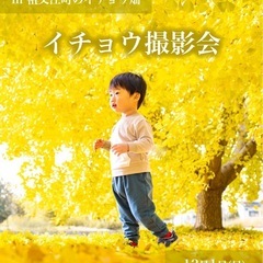 【12/1イチョウ撮影会in祖父江 開催のお知らせ】