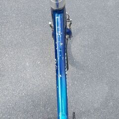 受け渡し予定者あり・ビアンキ小径車pisa（20インチ8段変速）8000円︰パーツ交換済・譲渡証明書ありの画像