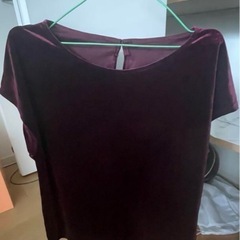 GU ジーユー ベルベット素材 半袖 Lサイズ