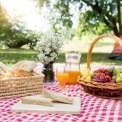 ピクニック好きな人と繋がりたいです