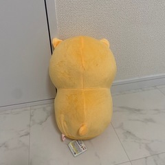 ぬいぐるみの画像