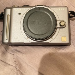 本日最終セールLUMIX gf1