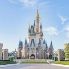 11/21(木)ディズニーランド行きたい方！！