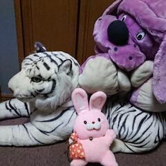 11/27まで先着順◆廃棄物ﾊﾞｯｶﾝに入れる前に何でも、どれだけでもお持ち帰り下さい◆PC3台◆ﾒﾀﾙﾗｯｸ◆ｽﾁｰﾙ本棚2台◆ﾛｰﾙｽｸﾘｰﾝ◆ﾌﾗｲﾊﾟﾝや鍋など◆石油ﾌｧﾝﾋｰﾀｰ◆冷風機◆小さめ金庫◆3本糸ロックミシン等々 の画像