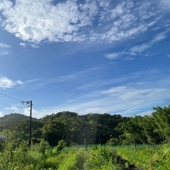 たくさんの人に知って欲しい‪ ·͜·♡‬一緒に研究しよう！ - メンバー募集