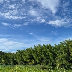 たくさんの人に知って欲しい‪ ·͜·♡‬一緒に研究しよう！ − 千葉県