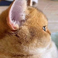 人手が必要な方いませんか？