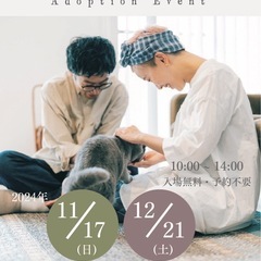 ずっとのお家探しています！