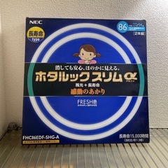 【未使用・無料】NECホタルックスリムα FRESH色 の画像