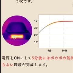 首と肩がホッとする枕 替えカバー付き 新品の画像