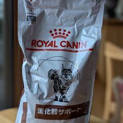猫フード　ロイヤルカナン　消化器サポート
