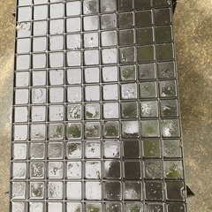 NVBOX13 11個セットの画像