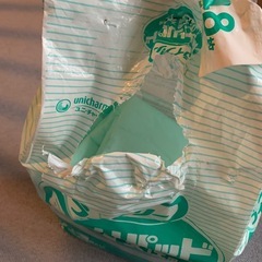 
女性用大人用おむつ　パッドの画像