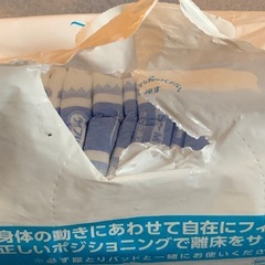 
女性用大人用おむつ　パッドの画像