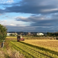古民家再生の仲間を探しています - その他