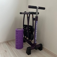 レッグマシーン  年内処分予定