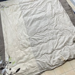 こたつ布団