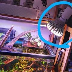 【総額￥15,000相当】植物育成ライト他、お得色々セット！