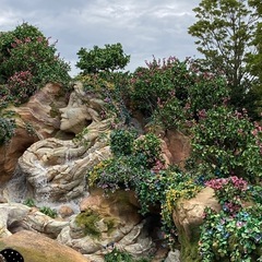 一緒にディズニー行ける人募集中