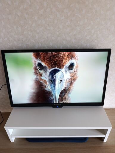 テレビ：ウエスティングハウス（Westinghouse） 24 インチ HDMI