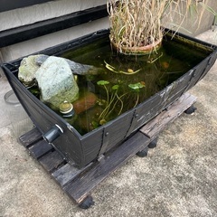 お話し中　オーバーフロー付きビオトープ