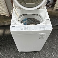 2019年製　TOHSHBA    洗濯機