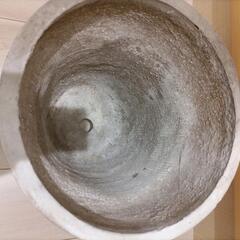 大きめ鉢の画像