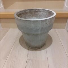 大きめ鉢の画像