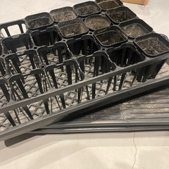 プレステラ　セット