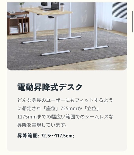 終了間近！FlexiSpot 電動昇降式デスク EG1 脚のみ ブラック