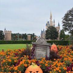 【ディズニー好きさん🏰🌏】リゾラ乗ったり舞浜お散歩しませんか！ - 千葉市