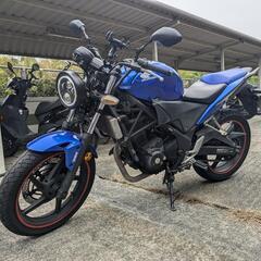 CBR250R 自賠責9年8月 ネイキッド仕様