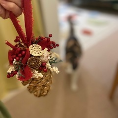 クリスマス松かさオーナメント作り🎄『EPICES』鎌倉の画像