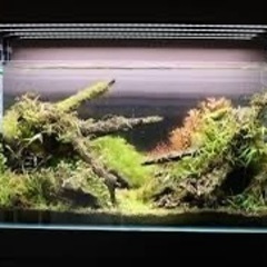 ada60〜90水槽セットまとめて（アクアリウム引退の方）