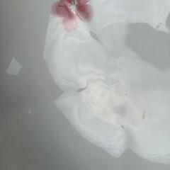 【お値下げ】REIKO TAKASHIMA （高島礼子（プロデュース）桜の器　4点セットの画像