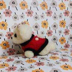 あしあと服着た可愛いマルチーズ　　羊毛の画像