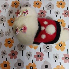 あしあと服着た可愛いマルチーズ　　羊毛の画像