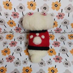 あしあと服着た可愛いマルチーズ　　羊毛の画像