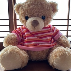 くまのぬいぐるみ　トイザらス　美品