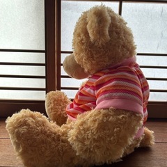 くまのぬいぐるみ　トイザらス　美品の画像
