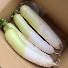 大根