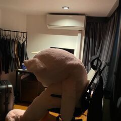 2メートルの巨大なクマのぬいぐるみを譲ります