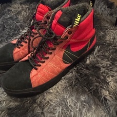 Nike Skateboard Shoes, Sneakers