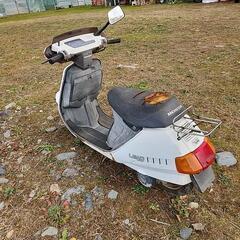 ホンダ リード50の画像