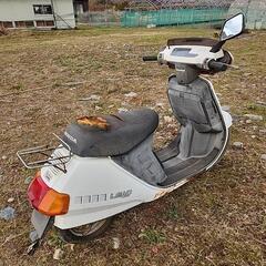 ホンダ リード50の画像