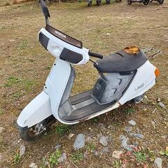 ホンダ リード50の画像