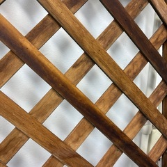 ラティス　ガーデニング　無料の画像