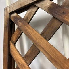 ラティス　ガーデニング　無料の画像