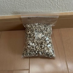ミニひまわりの種子